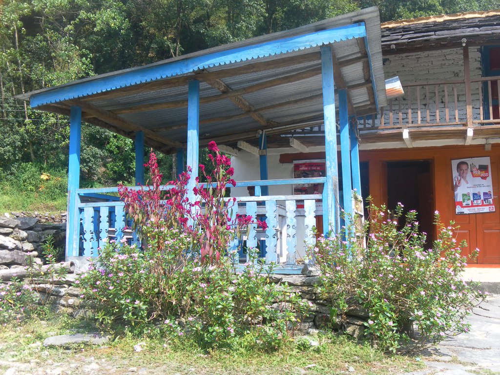 Image SAM_4346.JPG