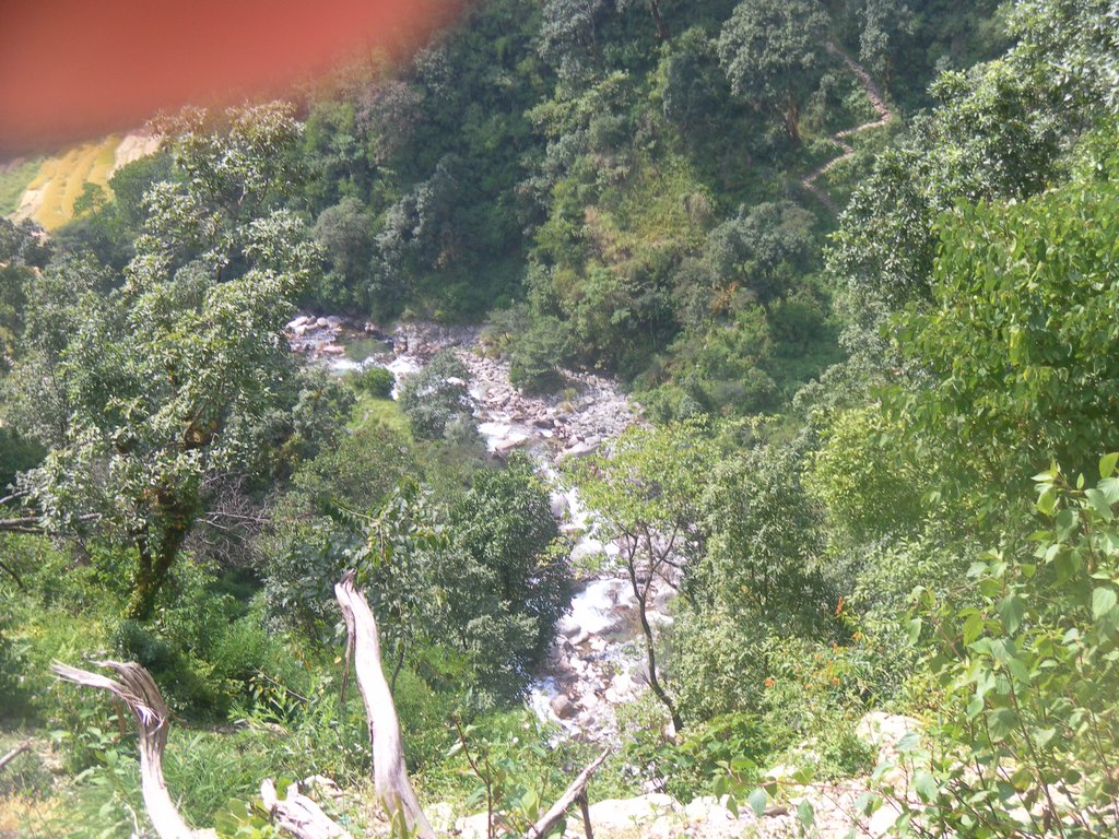 Image SAM_4356.JPG