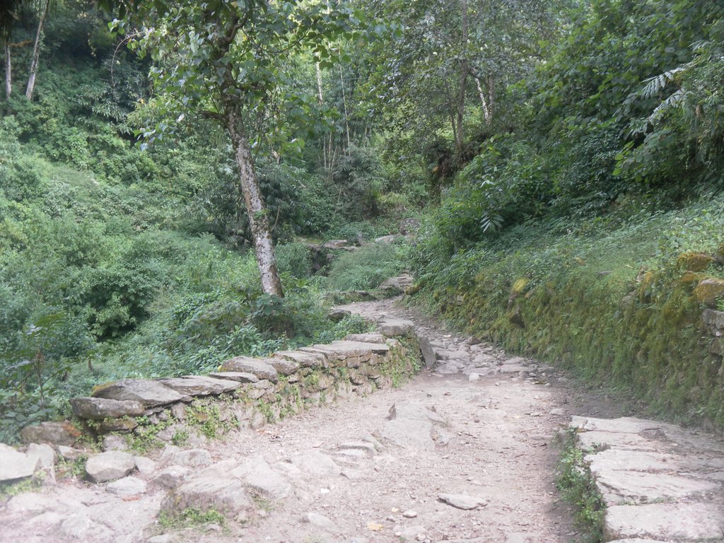 Image SAM_4363.JPG