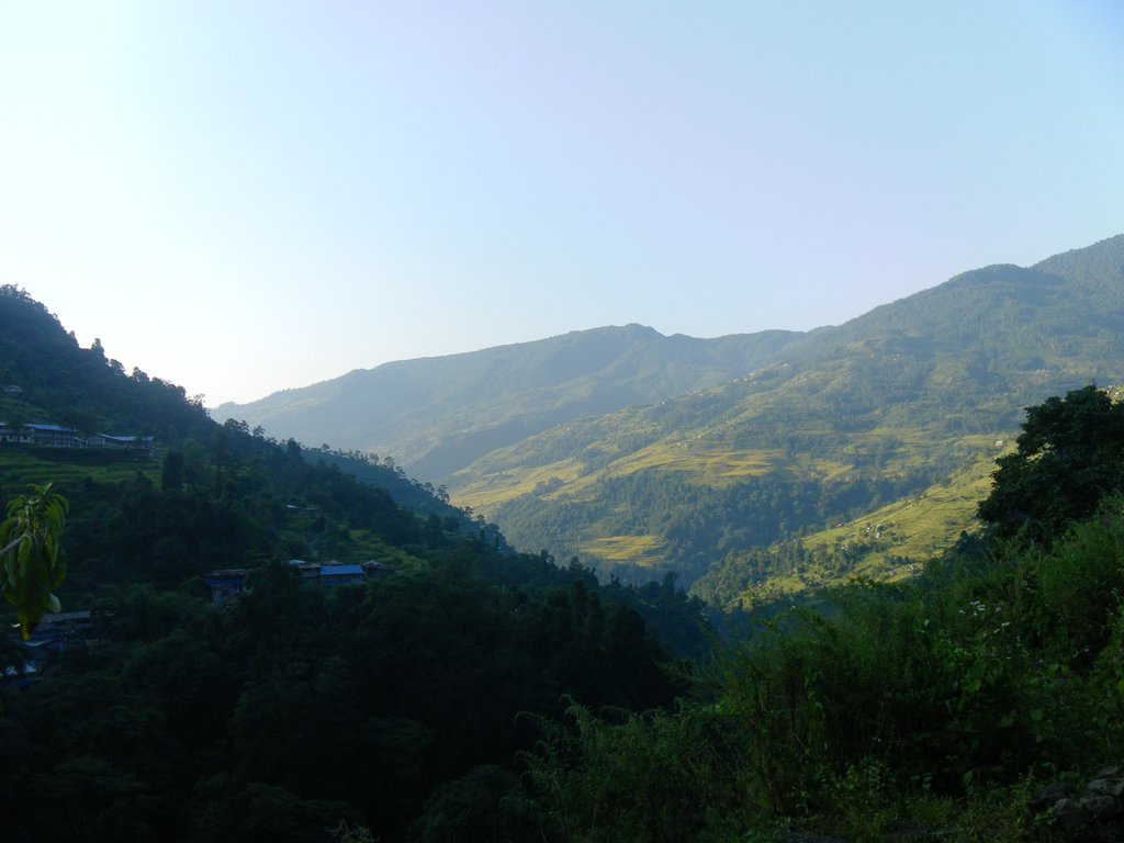 Image SAM_4386.JPG