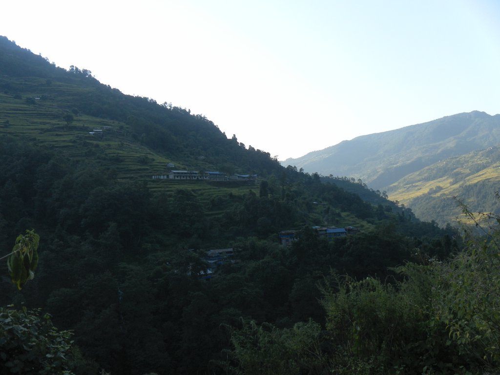 Image SAM_4387.JPG