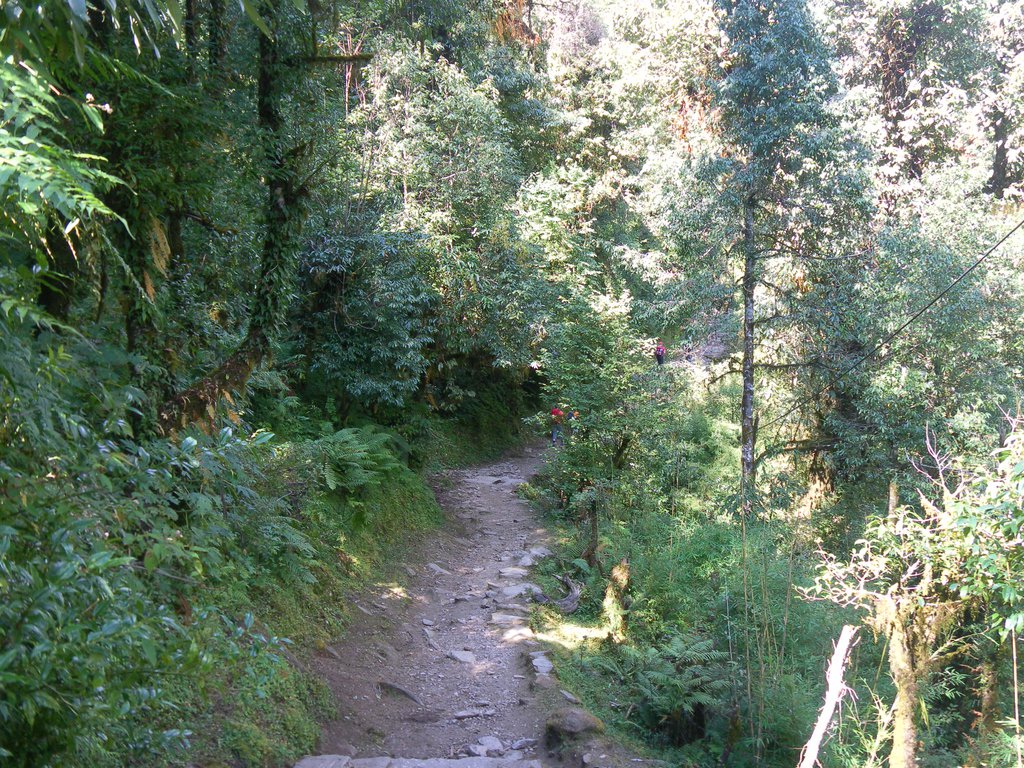 Image SAM_4429.JPG