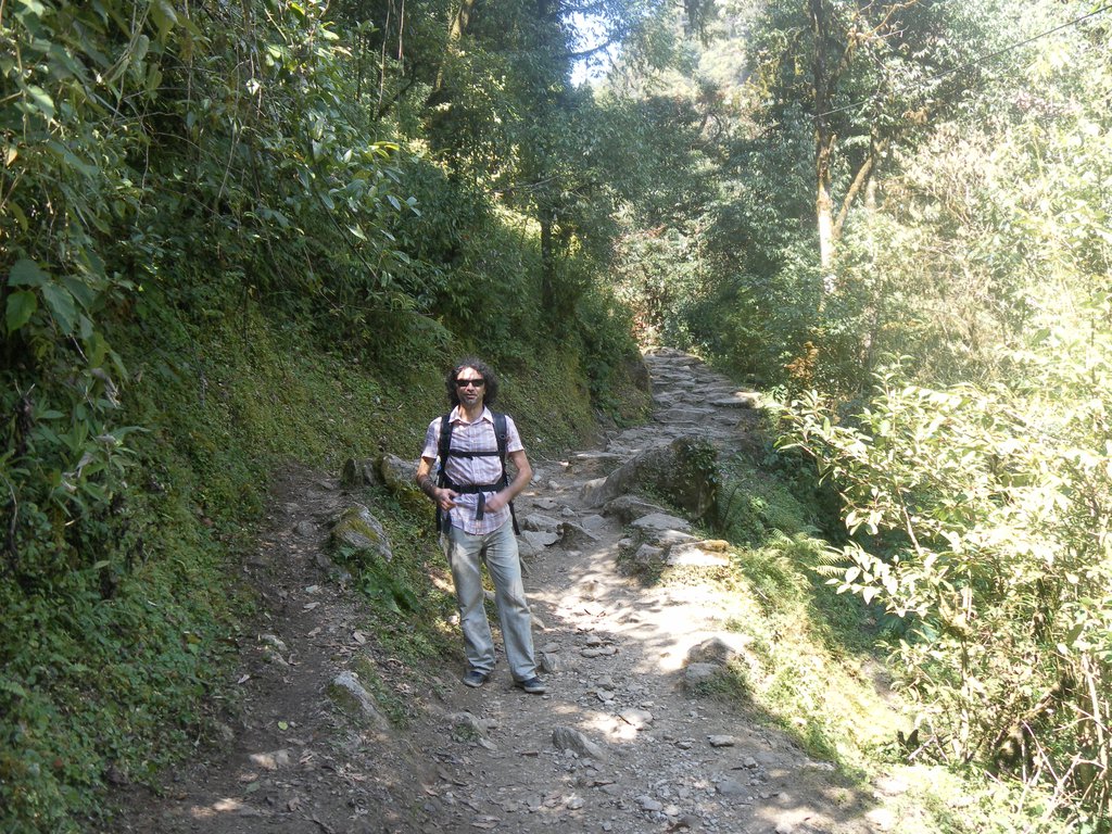 Image SAM_4430.JPG