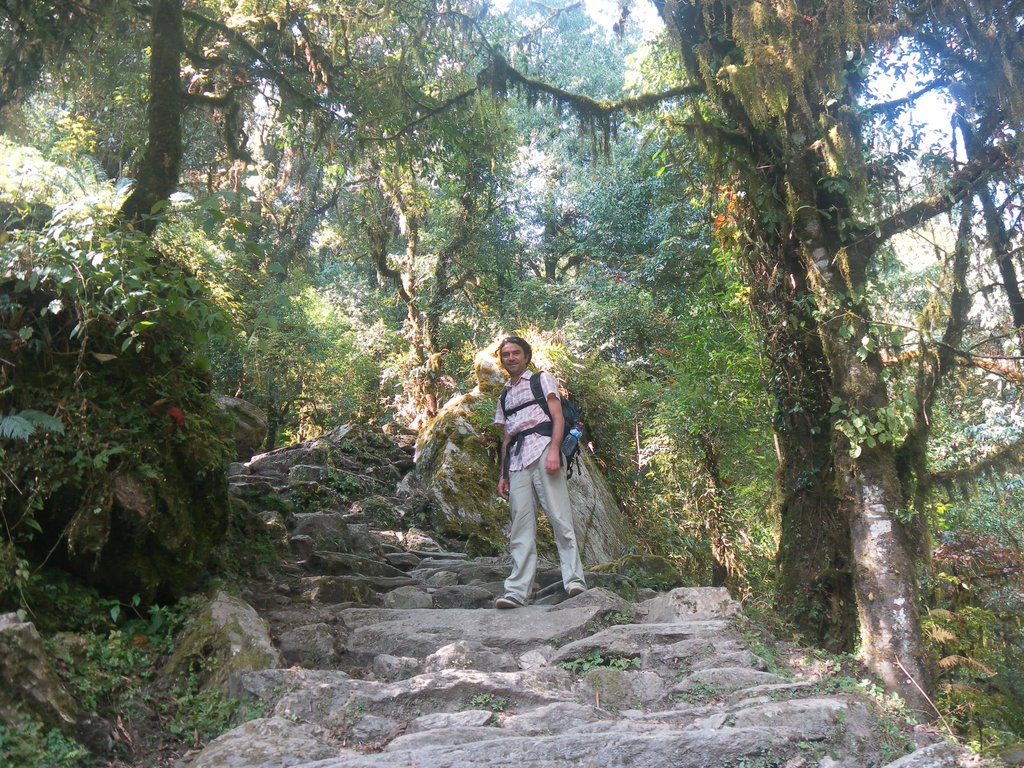 Image SAM_4434.JPG