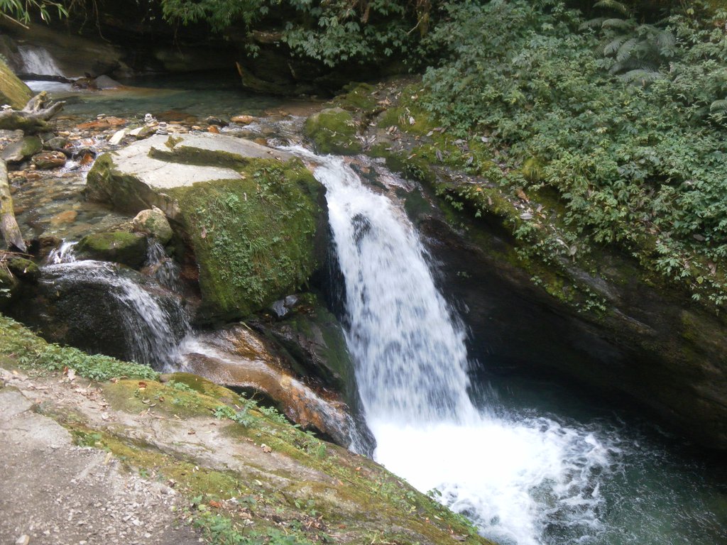 Image SAM_4439.JPG