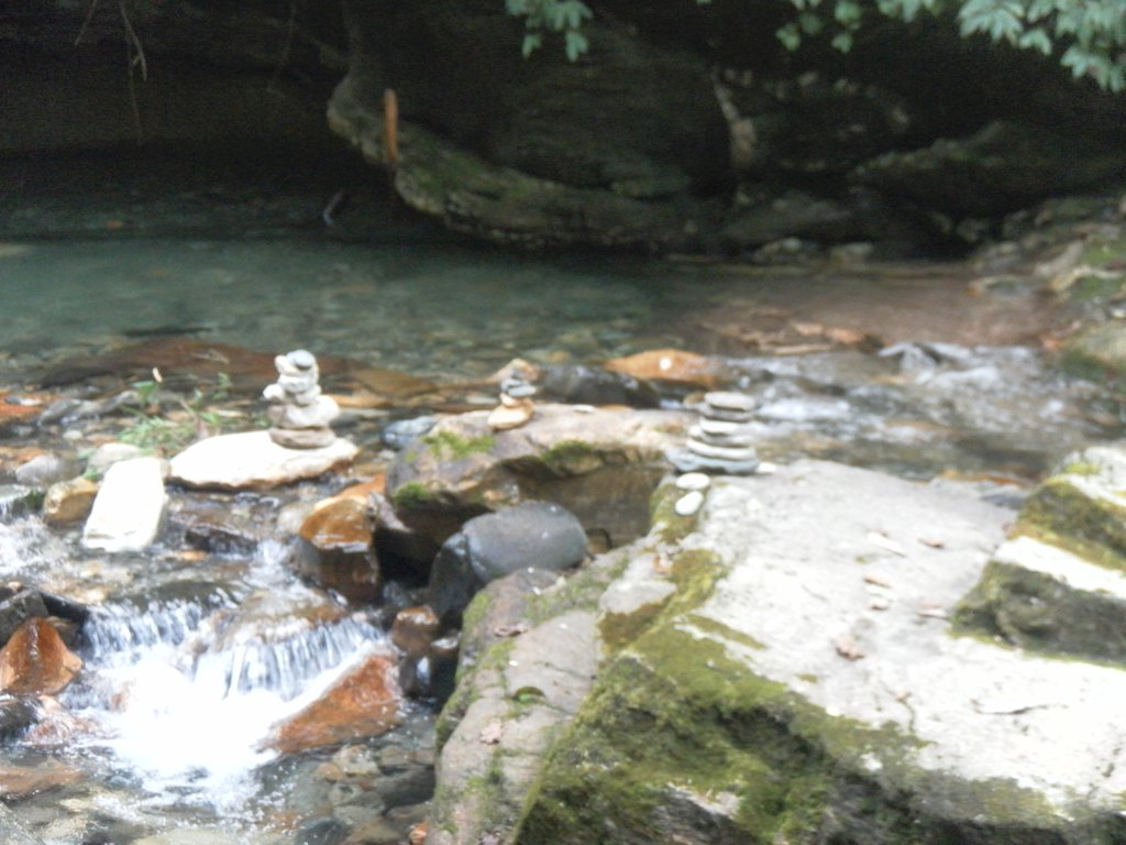 Image SAM_4440.JPG