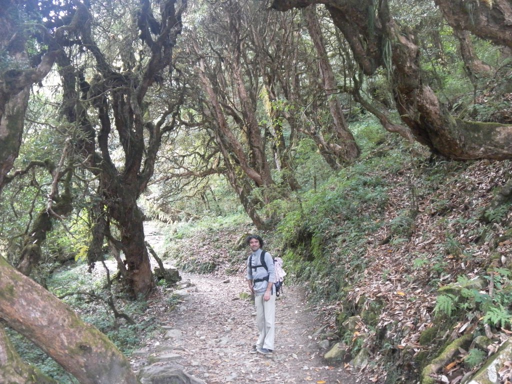 Image SAM_4448.JPG