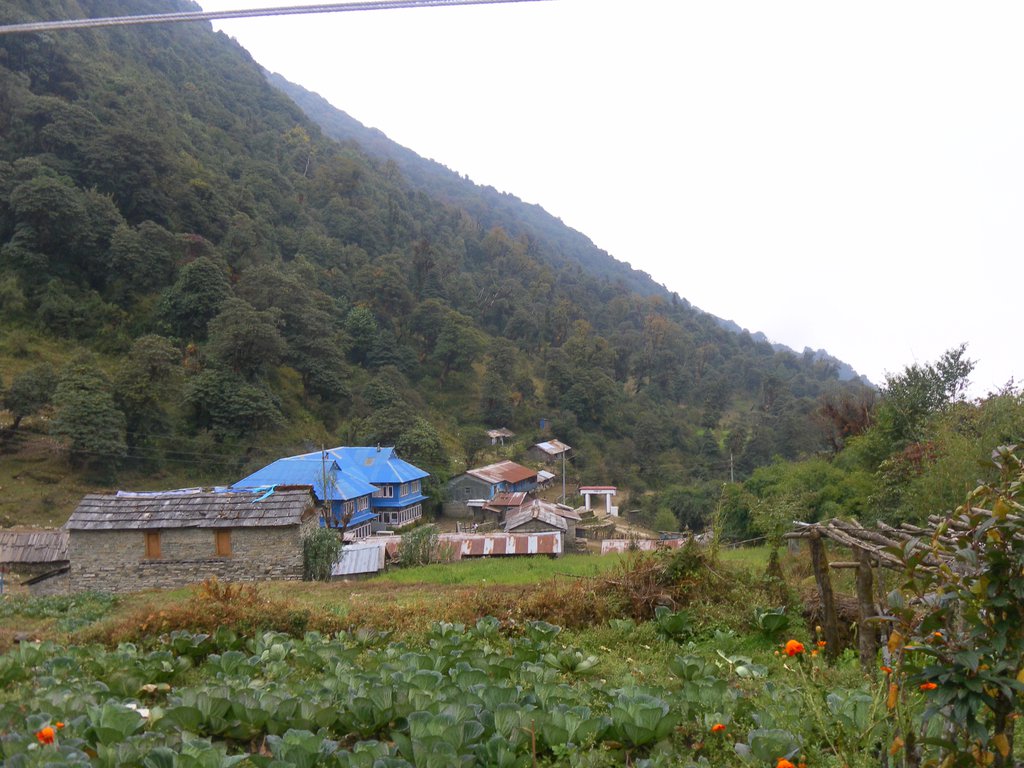 Image SAM_4464.JPG