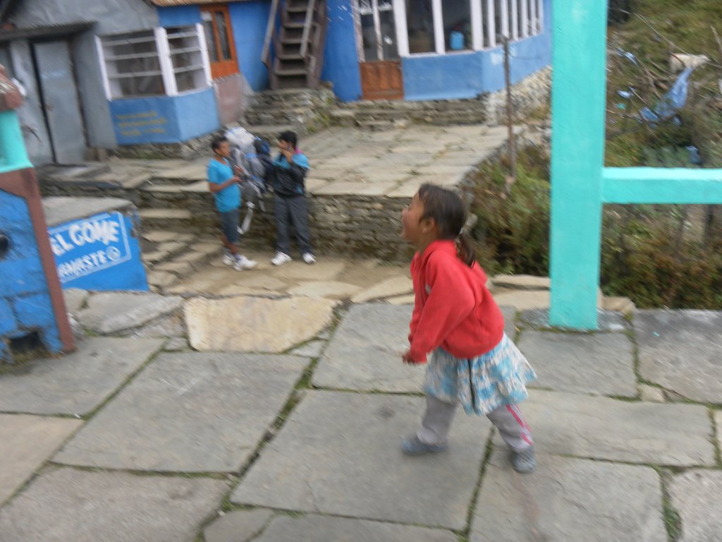 Image SAM_4477.JPG