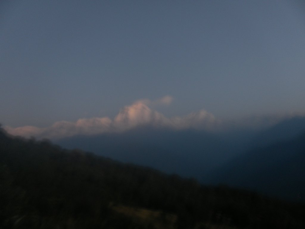 Image SAM_4489.JPG