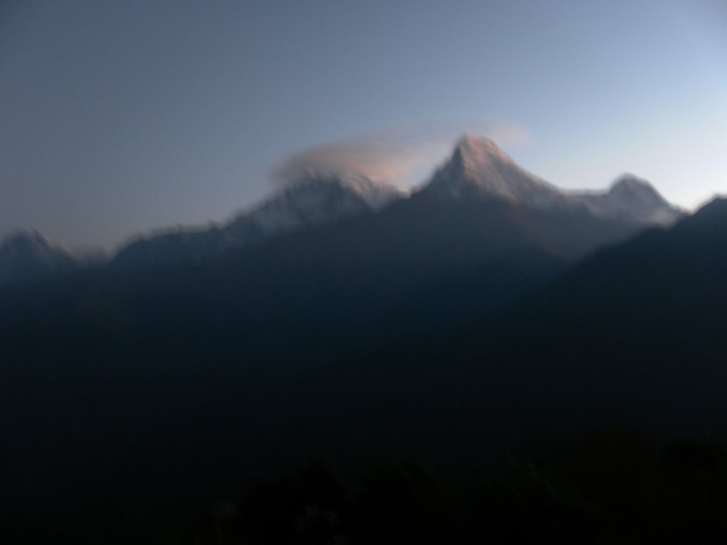 Image SAM_4490.JPG