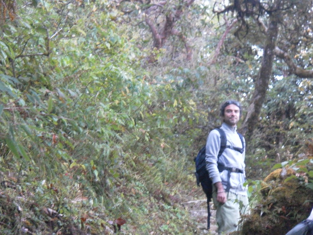 Image SAM_4557.JPG