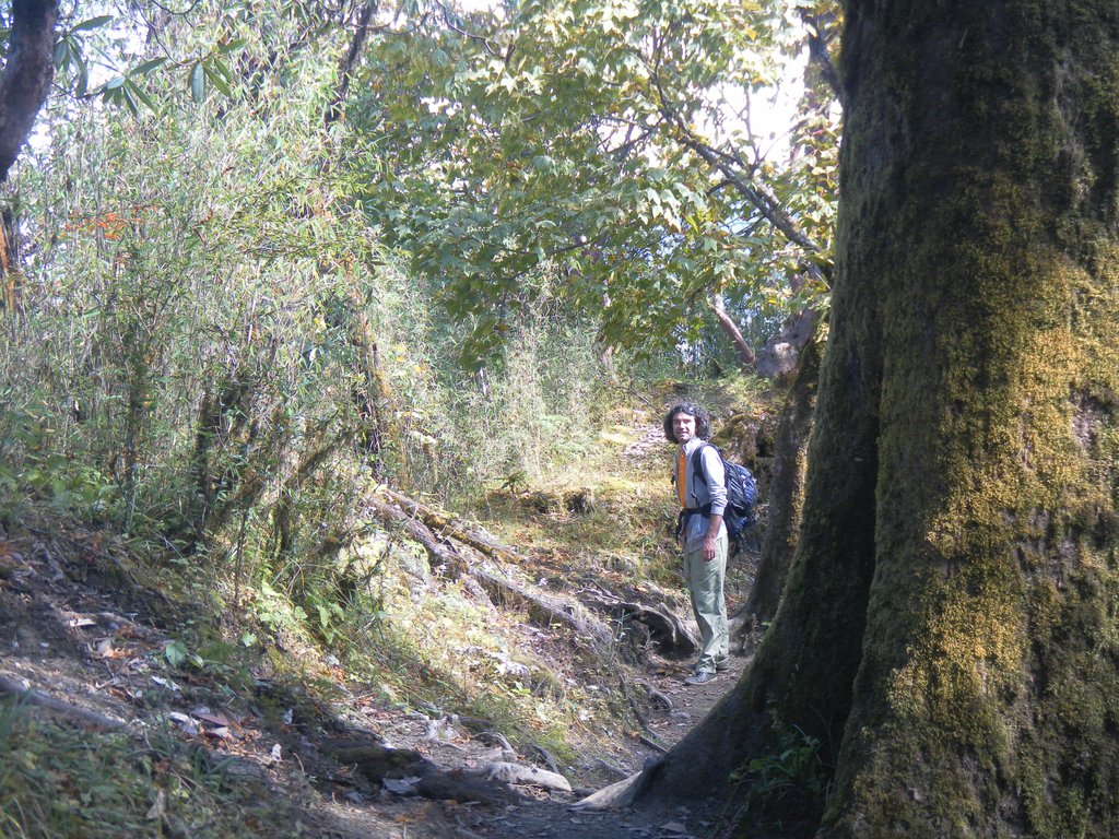 Image SAM_4584.JPG