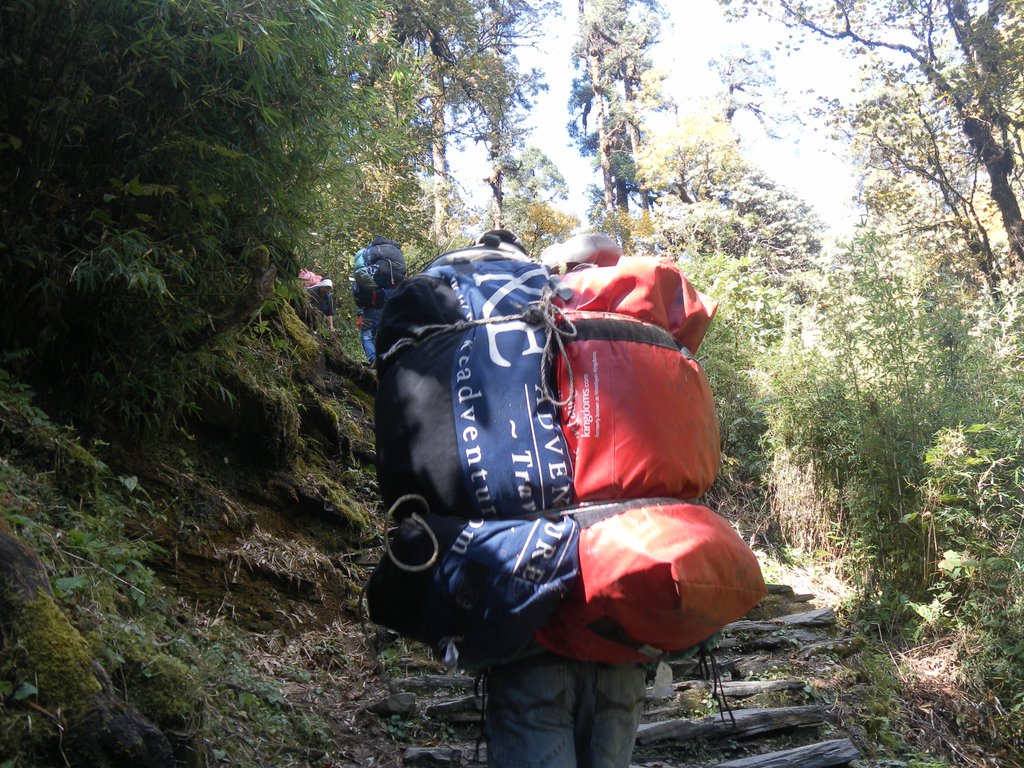 Image SAM_4593.JPG