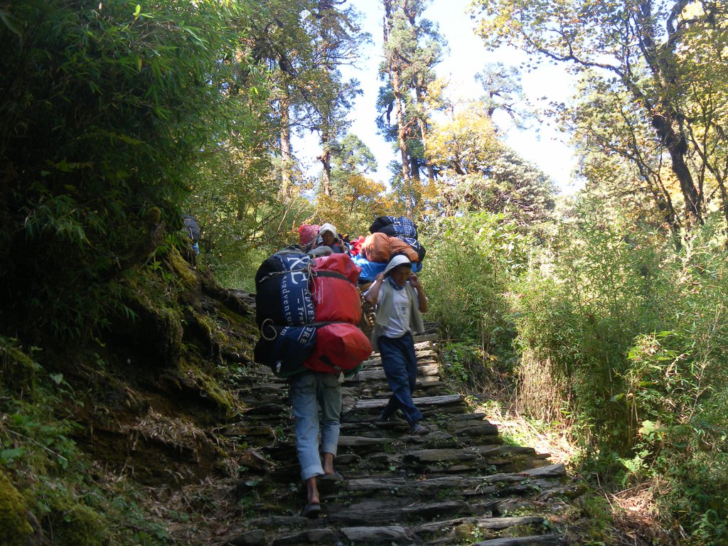 Image SAM_4594.JPG