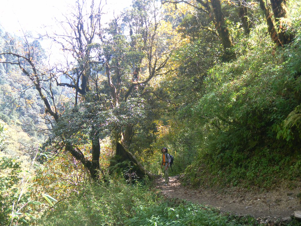 Image SAM_4598.JPG