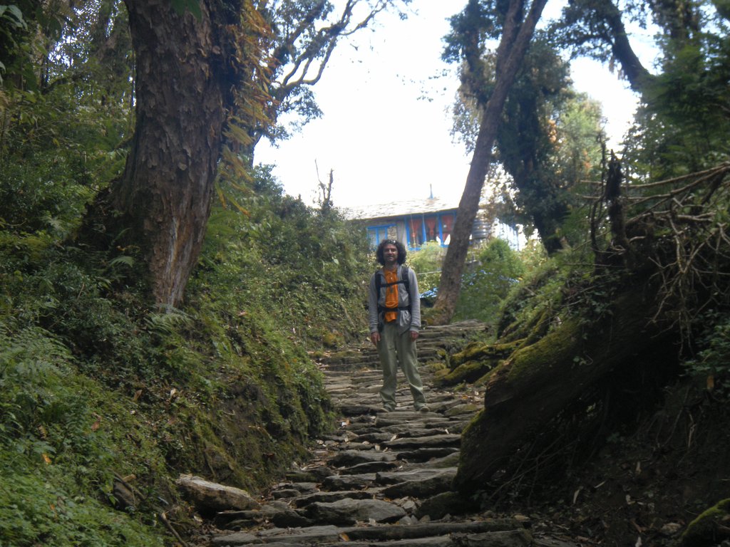 Image SAM_4612.JPG
