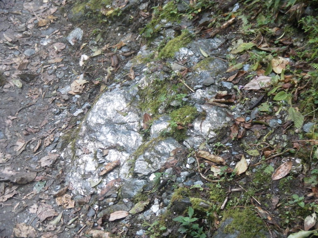 Image SAM_4620.JPG