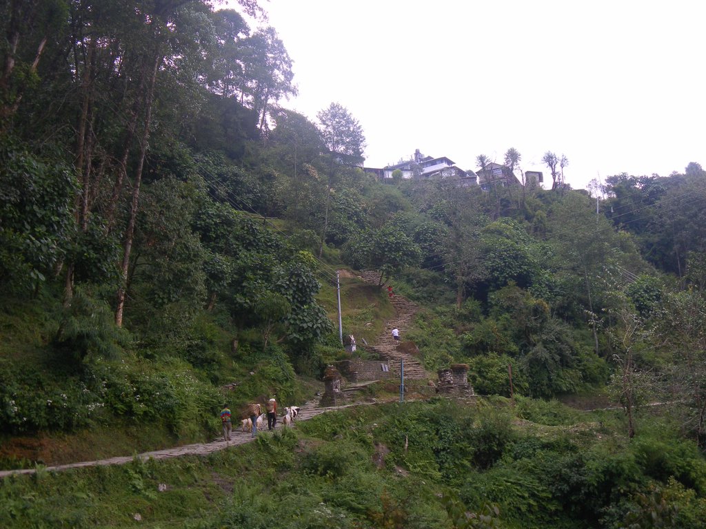 Image SAM_4626.JPG