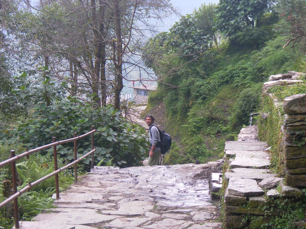 Image SAM_4627.JPG