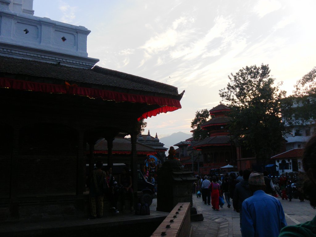 Image SAM_4798.JPG
