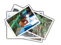 Nepal-India-Andaman album picture