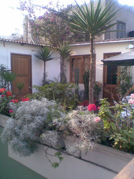 Image Immag000.jpg