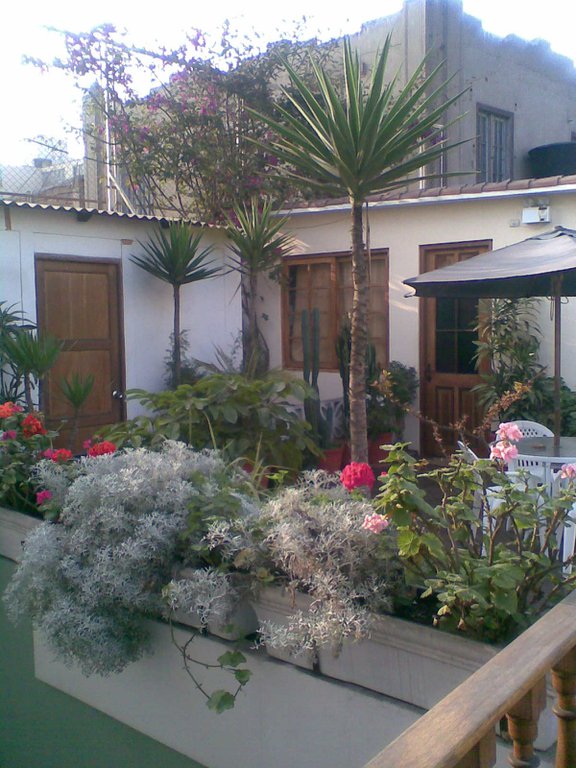 Image Immag003.jpg