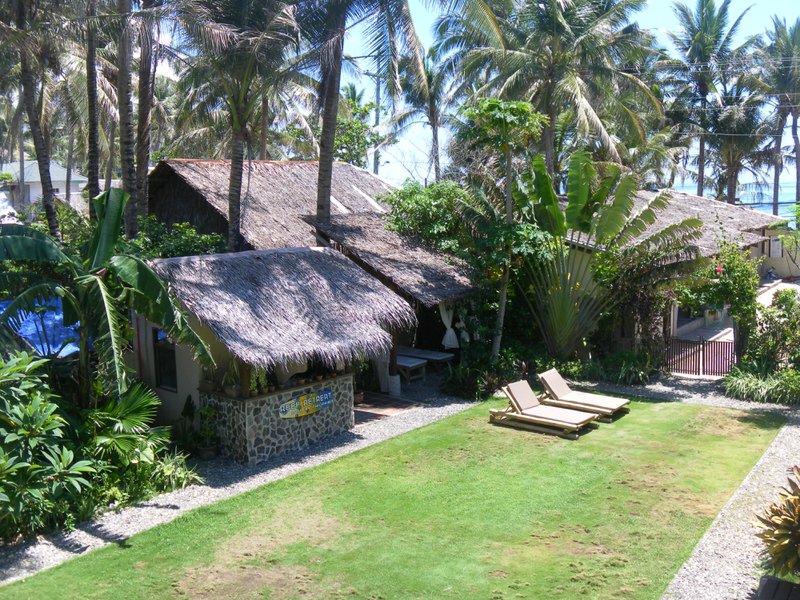Image SAM_3384.JPG
