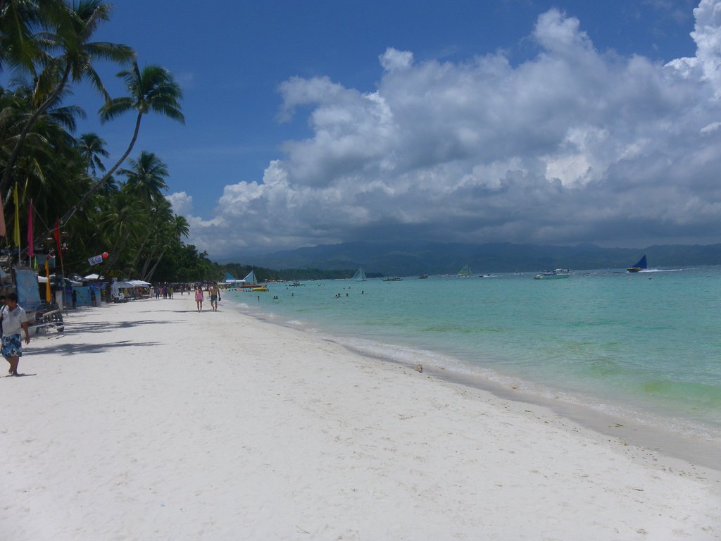 Image SAM_3395.JPG