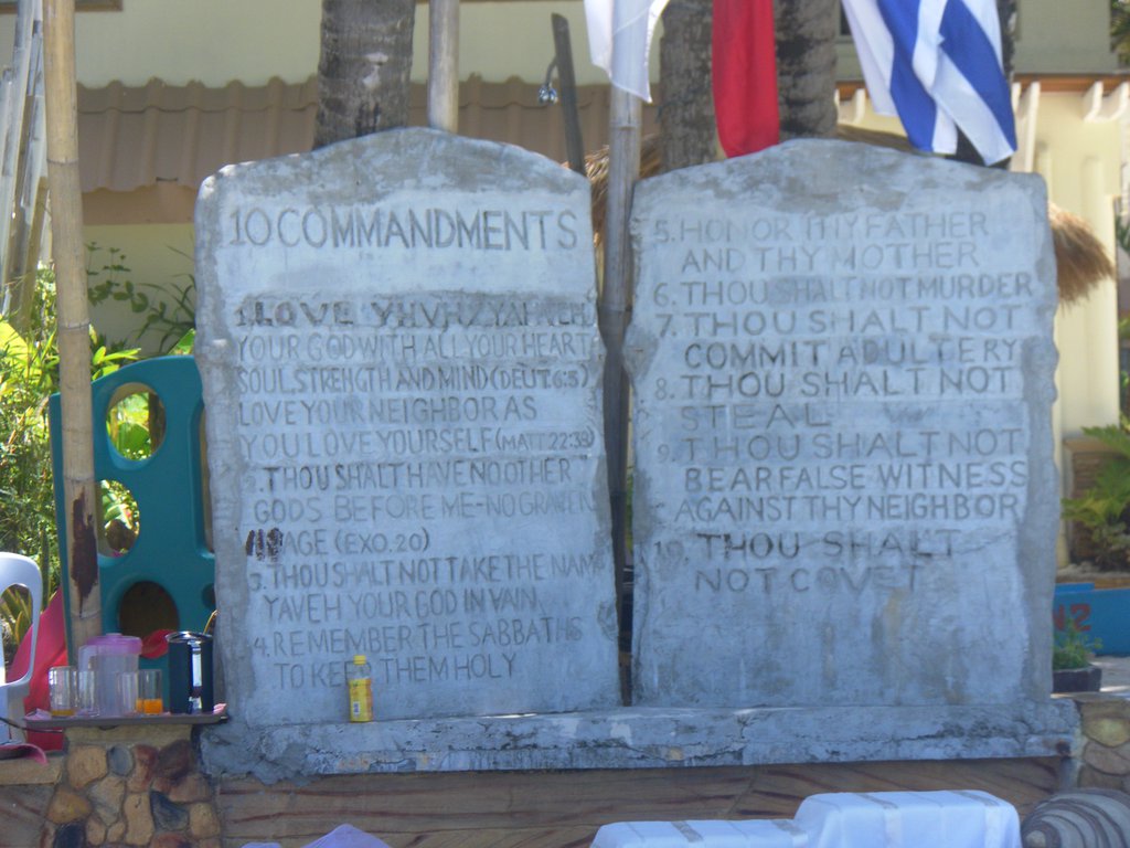 Image SAM_3399.JPG