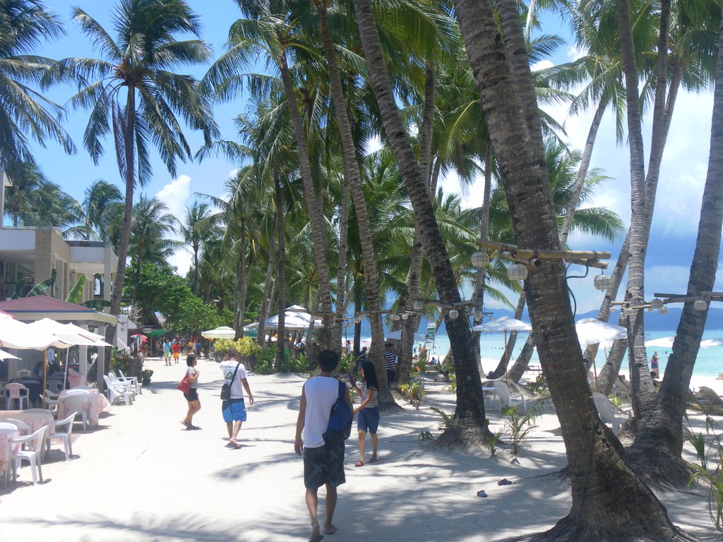 Image SAM_3440.JPG
