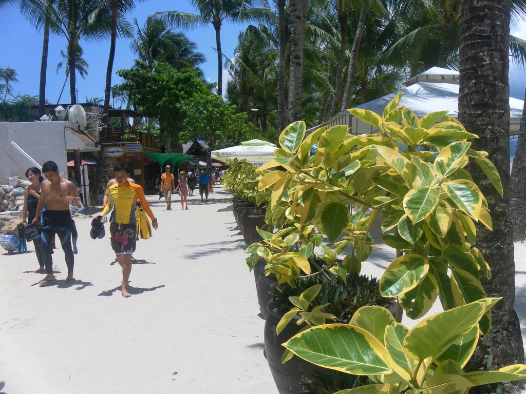 Image SAM_3441.JPG