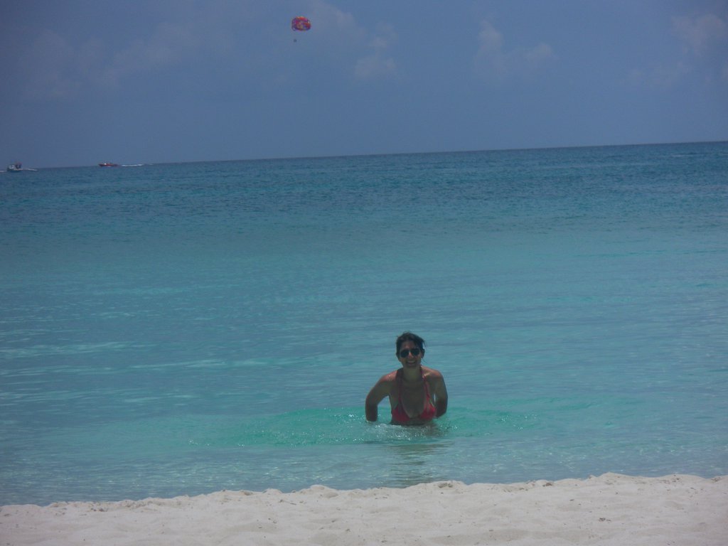 Image SAM_3449.JPG