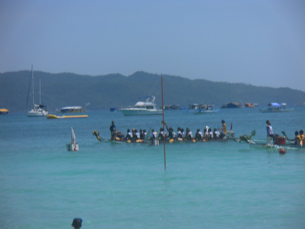 Image SAM_3508.JPG
