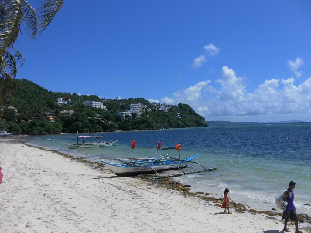 Image SAM_3516.JPG
