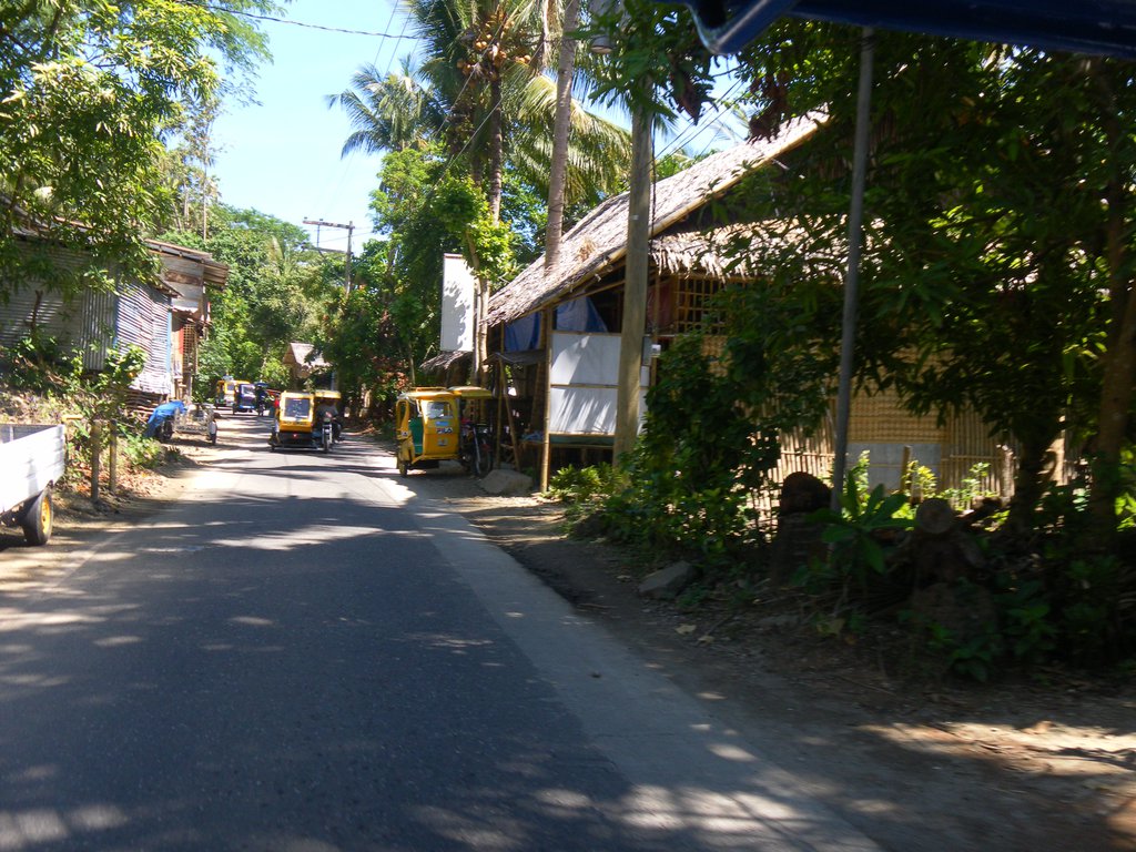 Image SAM_3544.JPG