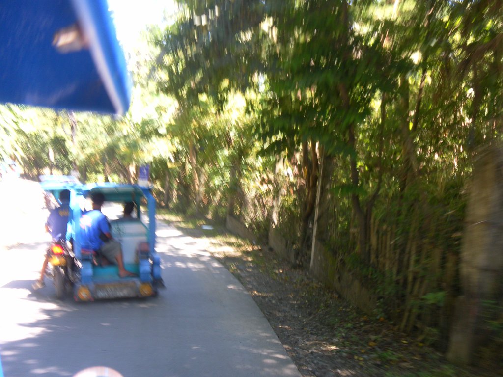 Image SAM_3547.JPG