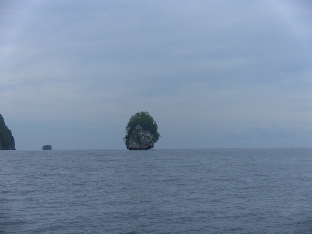 Image SAM_3044.JPG