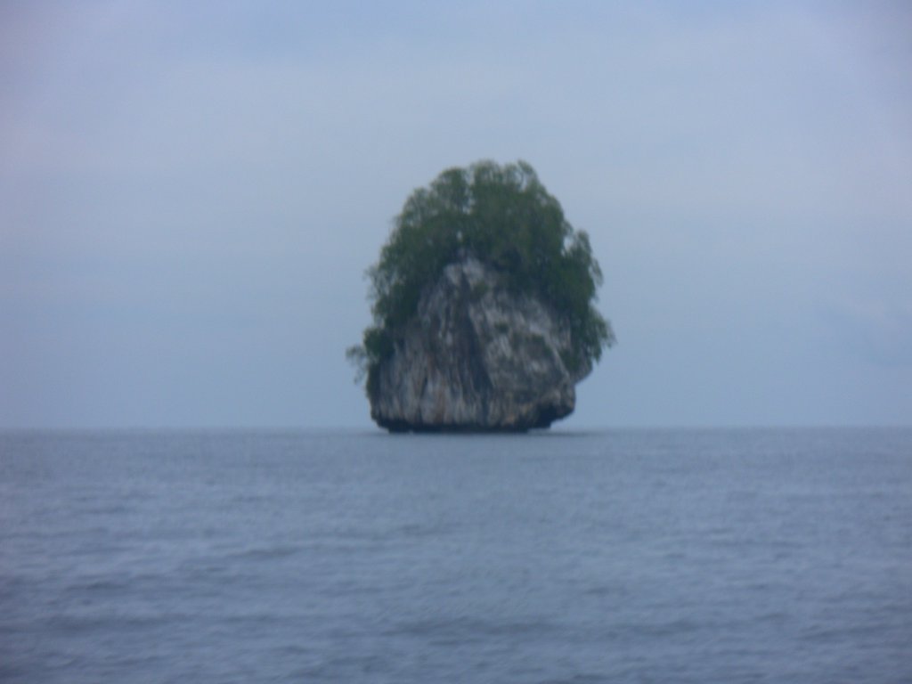 Image SAM_3045.JPG