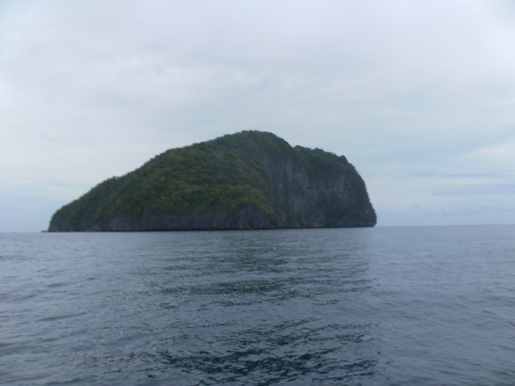 Image SAM_3046.JPG