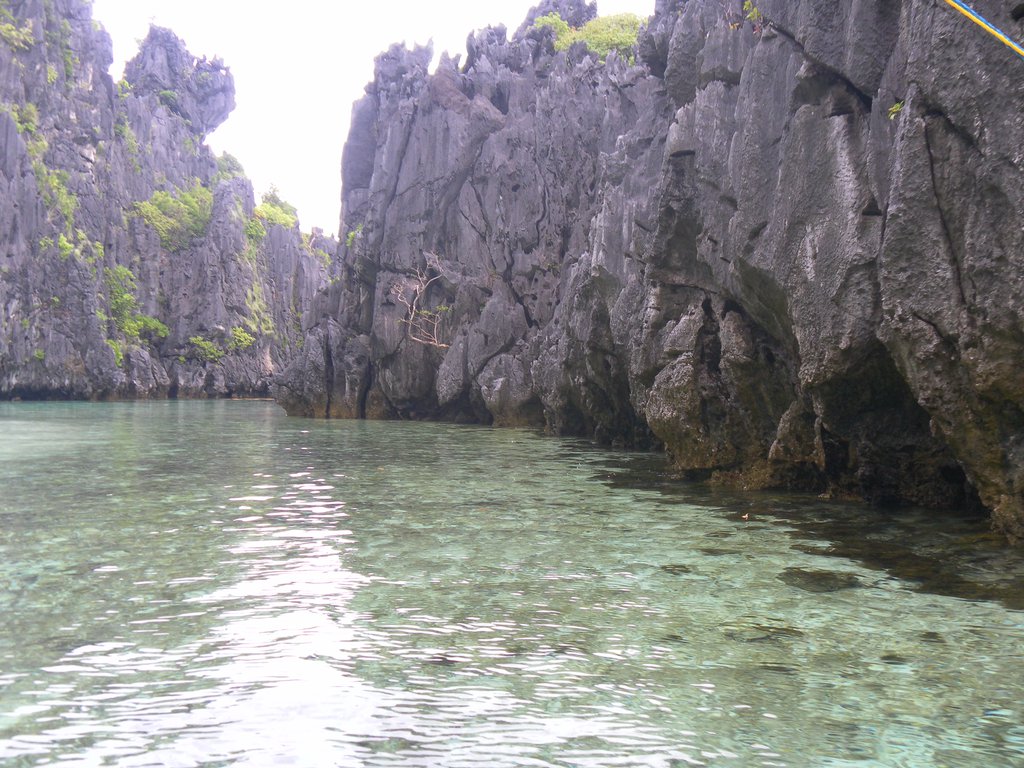 Image SAM_3049.JPG