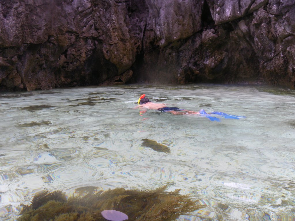 Image SAM_3063.JPG