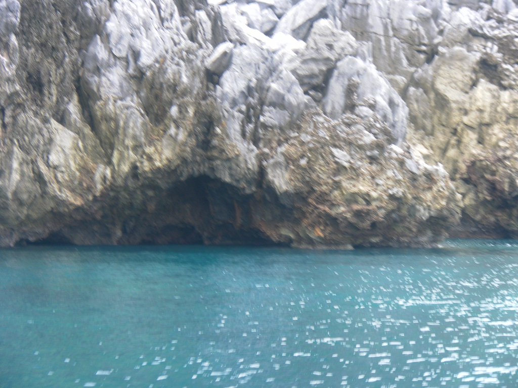 Image SAM_3068.JPG