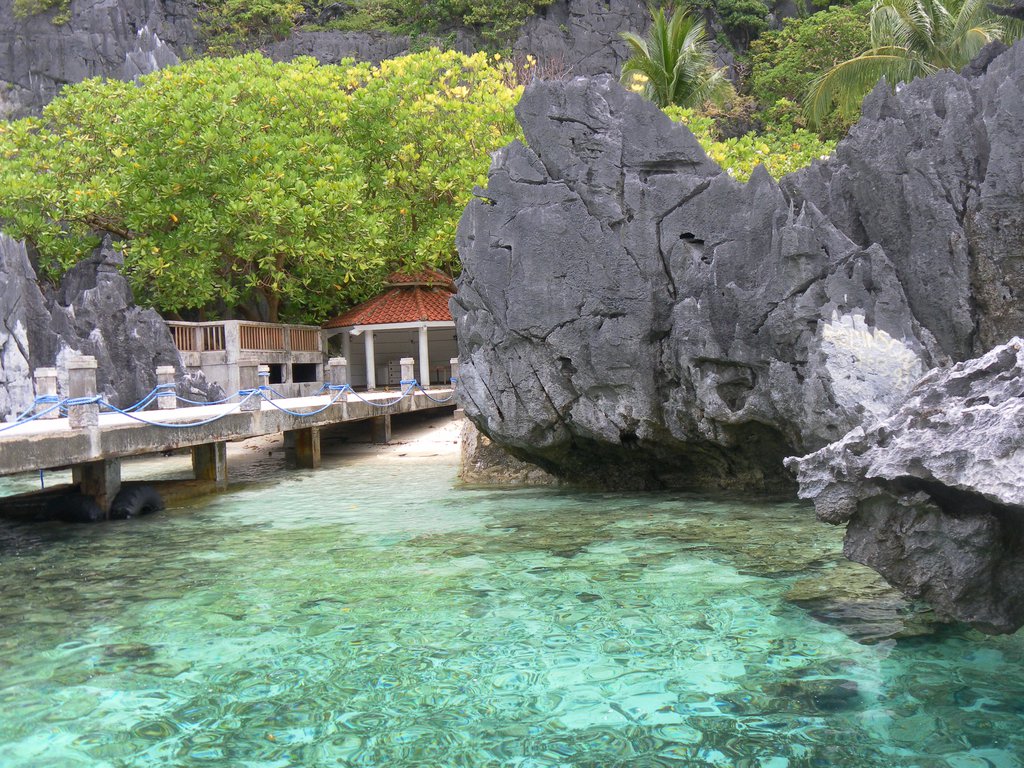 Image SAM_3072.JPG