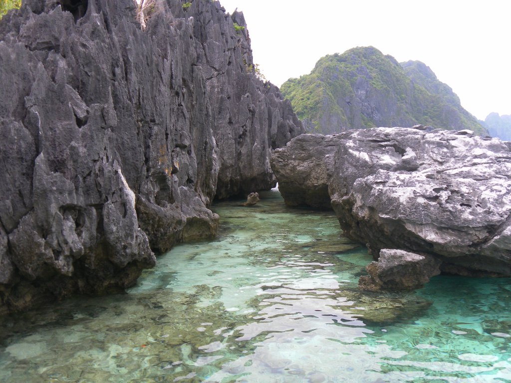 Image SAM_3074.JPG