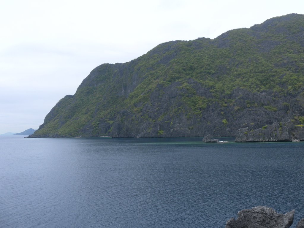 Image SAM_3081.JPG