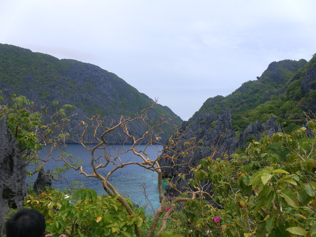Image SAM_3086.JPG