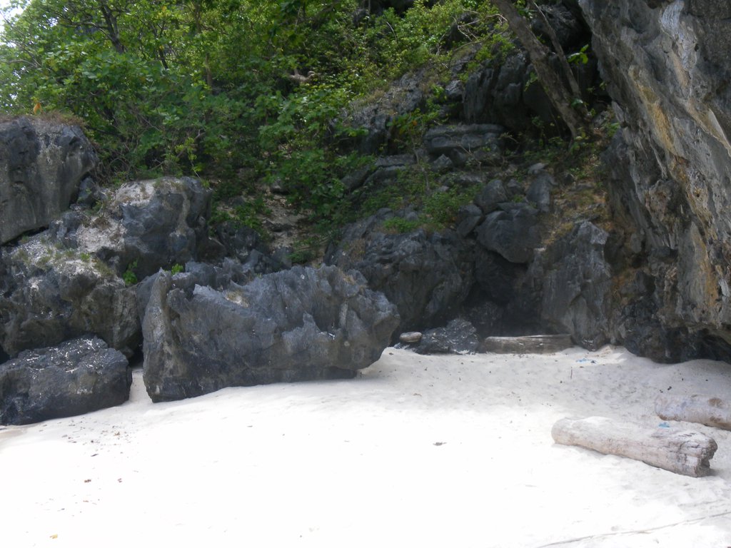 Image SAM_3092.JPG