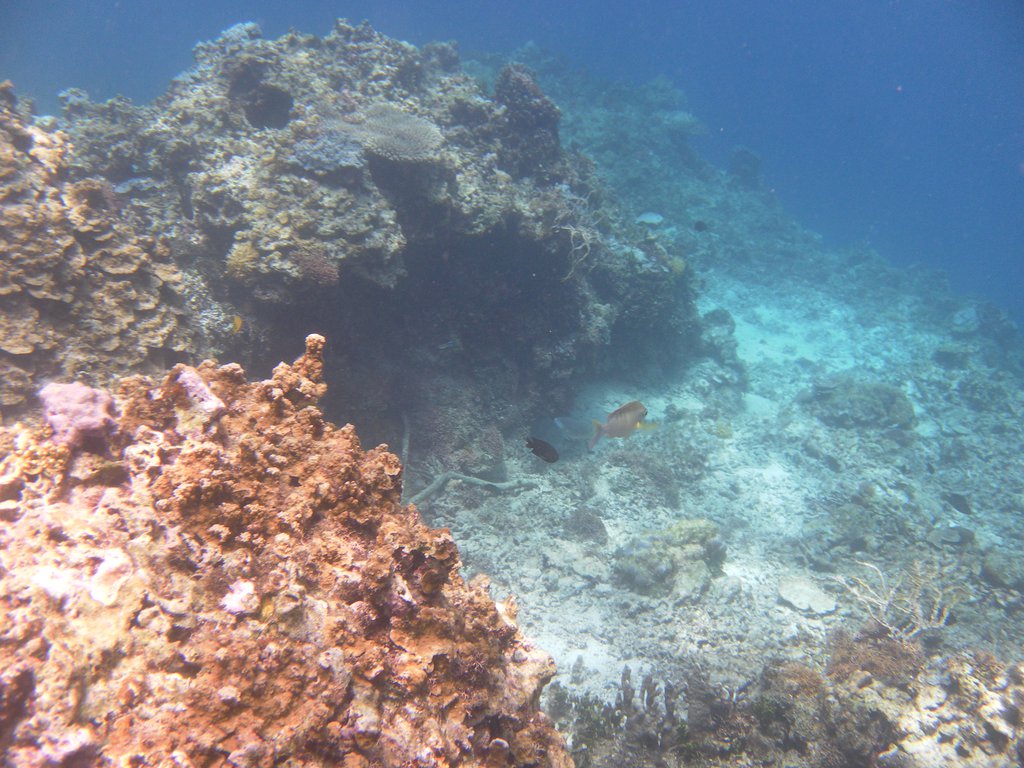 Image SAM_3097.JPG